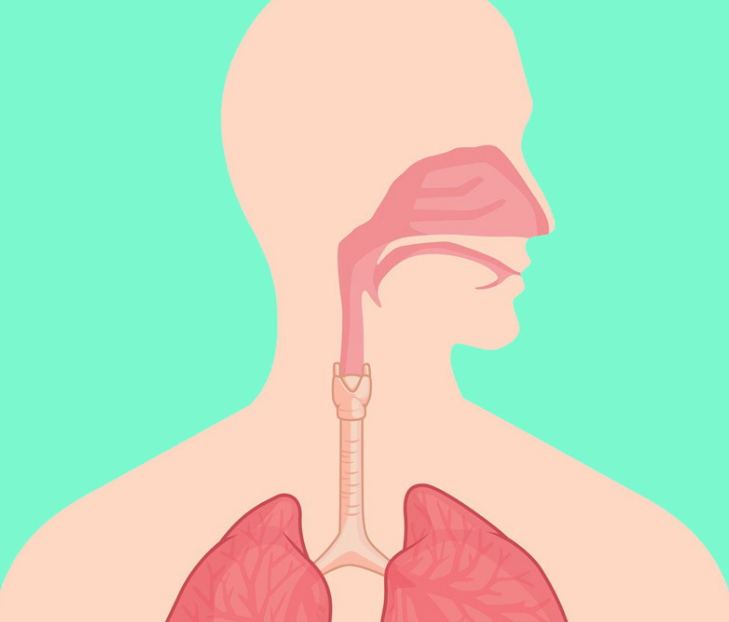 Болезни носоглотки органов дыхания. Носоглотка рисунок. Стмволика лёгкого дыхания. Дыхательные практики для лечения носоглотки.
