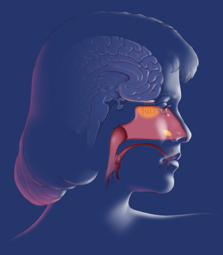ПРАВИЛЬНОЕ ДЫХАНИЕ: Техники для улучшения здоровья